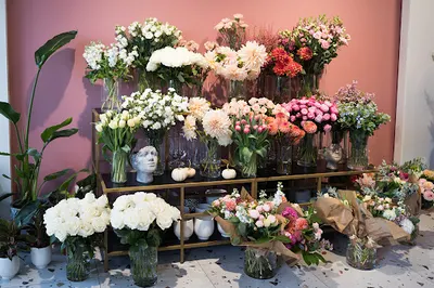 La Vida Pracownia Florystyczna